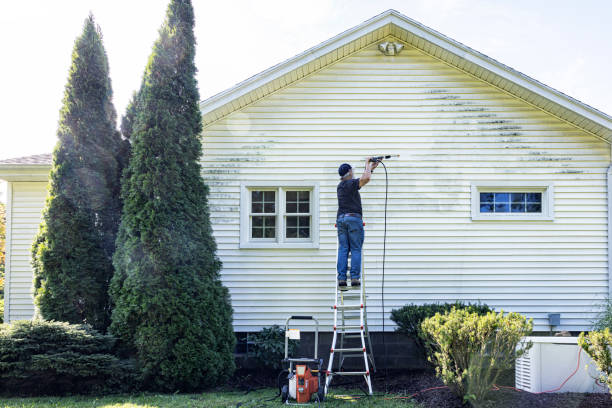 Pressure Washing Brick in Clio, AL