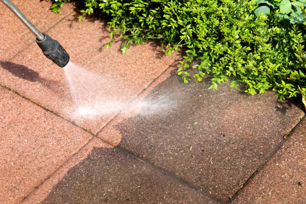 Best Pressure Washing Patio  in Clio, AL
